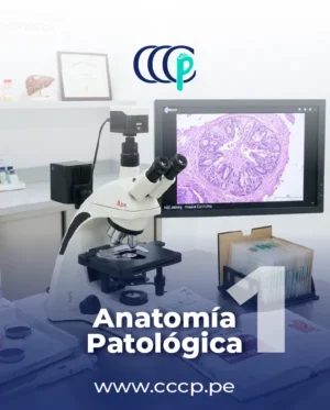 Anatomía Patológica - Bloque 1