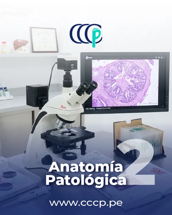 Anatomía Patológica - Bloque 2